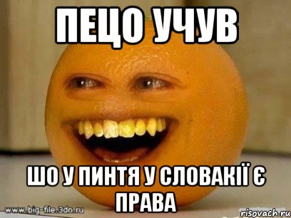 Пецо учув Шо у пинтя у словакії є права, Мем Надоедливый апельсин