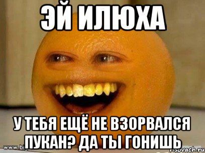 Эй Илюха у тебя ещё не взорвался пукан? да ты гонишь, Мем Надоедливый апельсин