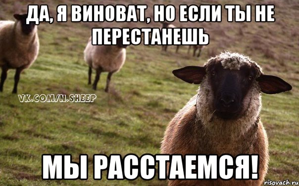 да, я виноват, но если ты не перестанешь мы расстаемся!, Мем  Наивная Овца