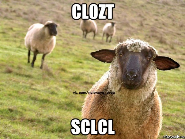 cl0zt sclCl, Мем  Наивная Овца