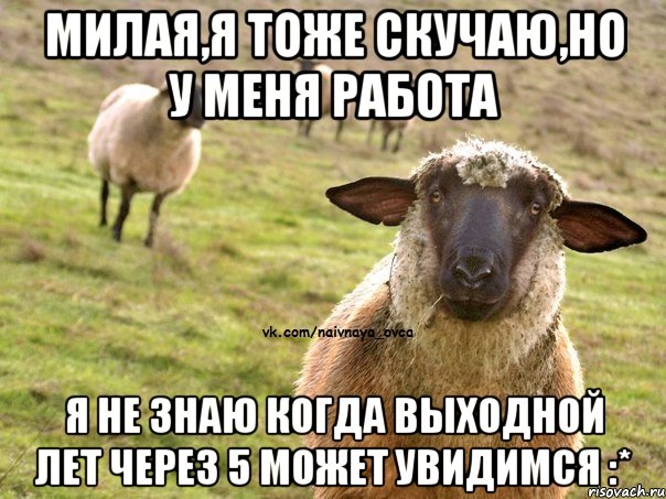 Милая,я тоже скучаю,но у меня работа Я не знаю когда выходной лет через 5 может увидимся :*, Мем  Наивная Овца