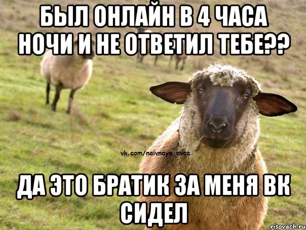 Был онлайн в 4 часа ночи и не ответил тебе?? Да это братик за меня вк сидел, Мем  Наивная Овца