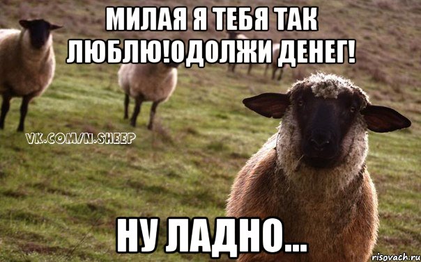 Милая я тебя так люблю!Одолжи денег! Ну ладно..., Мем  Наивная Овца