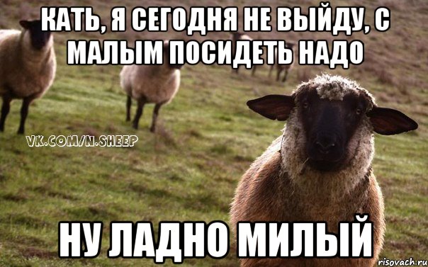 Кать, я сегодня не выйду, с малым посидеть надо НУ ЛАДНО МИЛЫЙ, Мем  Наивная Овца