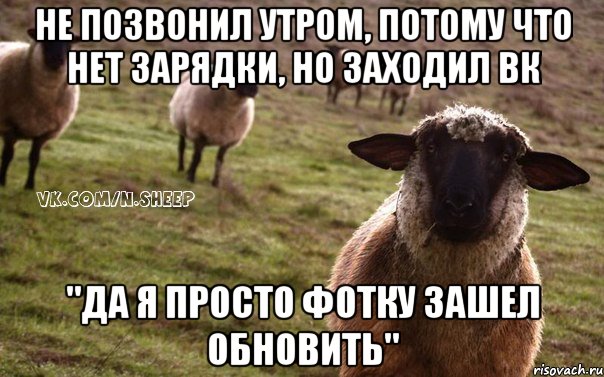 не позвонил утром, потому что нет зарядки, но заходил ВК "да я просто фотку зашел обновить", Мем  Наивная Овца