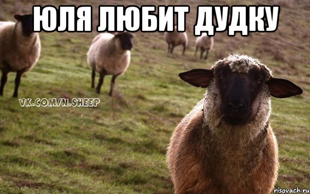 Юля любит Дудку , Мем  Наивная Овца