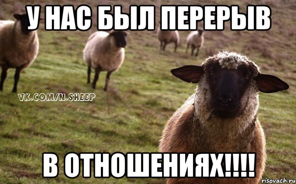 у нас был перерыв в отношениях!!!!, Мем  Наивная Овца