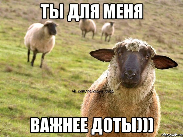 ТЫ ДЛЯ МЕНЯ ВАЖНЕЕ ДОТЫ))), Мем  Наивная Овца