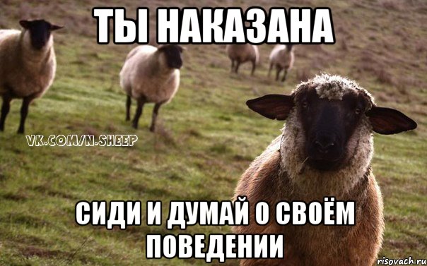 Ты наказана сиди и думай о своём поведении, Мем  Наивная Овца