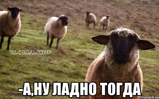  -А,ну ладно тогда, Мем  Наивная Овца