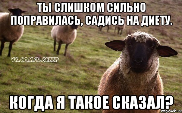 Ты слишком сильно поправилась, садись на диету. когда я такое сказал?, Мем  Наивная Овца