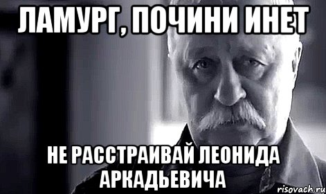 ламург, почини инет не расстраивай леонида аркадьевича, Мем Не огорчай Леонида Аркадьевича