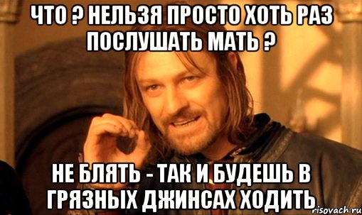 Что ? нельзя просто хоть раз послушать мать ? не блять - так и будешь в грязных джинсах ходить, Мем Нельзя просто так взять и (Боромир мем)