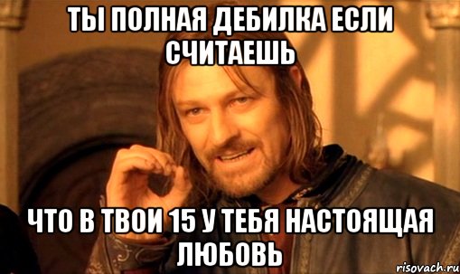 Ты полная дебилка если считаешь что в твои 15 у тебя настоящая любовь, Мем Нельзя просто так взять и (Боромир мем)