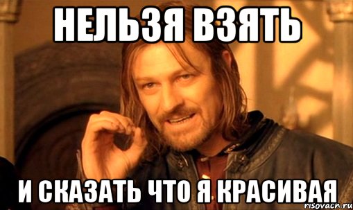 Нельзя взять и сказать что я красивая, Мем Нельзя просто так взять и (Боромир мем)