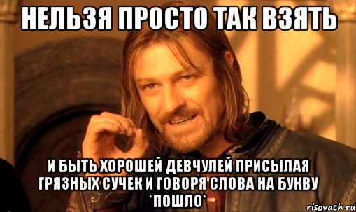 Нельзя просто так взять И быть хорошей девчулей присылая грязных сучек и говоря слова на букву *пошло*, Мем Нельзя просто так взять и (Боромир мем)