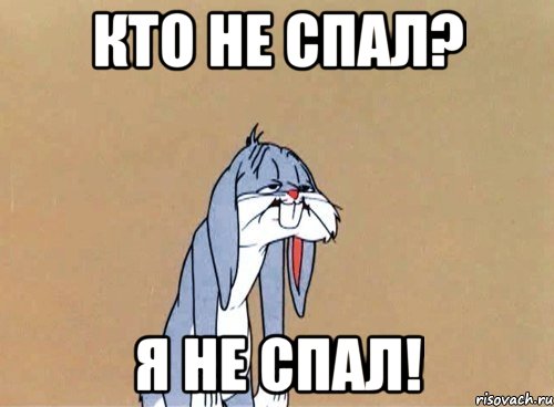 КТО НЕ СПАЛ? Я НЕ СПАЛ!, Мем невыспавшийся