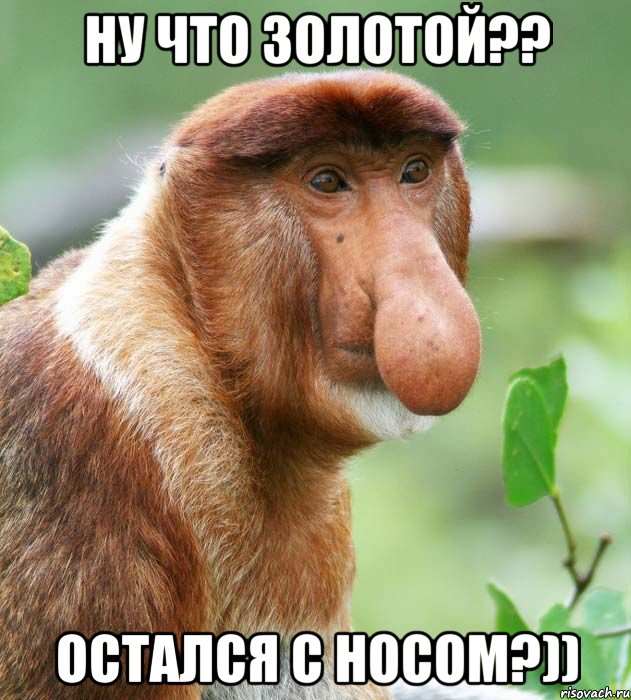 Ну что золотой?? Остался с носом?))