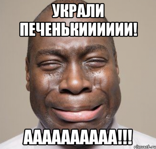 Украли печенькииииии! АААААААААА!!!