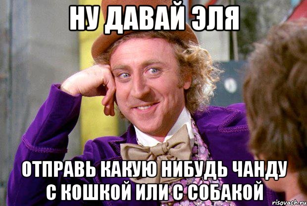 Ну давай Эля Отправь какую нибудь чанду с кошкой или с собакой, Мем Ну давай расскажи (Вилли Вонка)