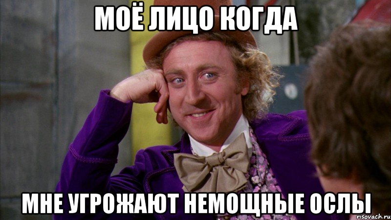 моё лицо когда мне угрожают немощные ослы, Мем Ну давай расскажи (Вилли Вонка)