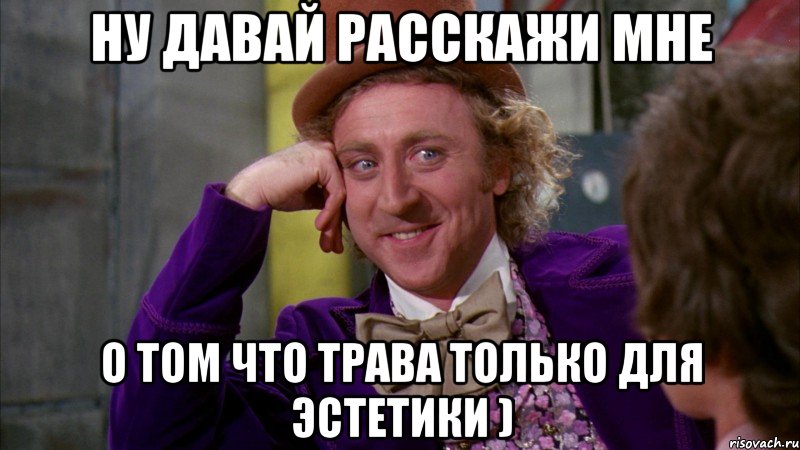 Ну давай расскажи мне о том что трава только для эстетики ), Мем Ну давай расскажи (Вилли Вонка)
