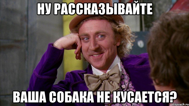 НУ РАССКАЗЫВАЙТЕ ВАША СОБАКА НЕ КУСАЕТСЯ?, Мем Ну давай расскажи (Вилли Вонка)