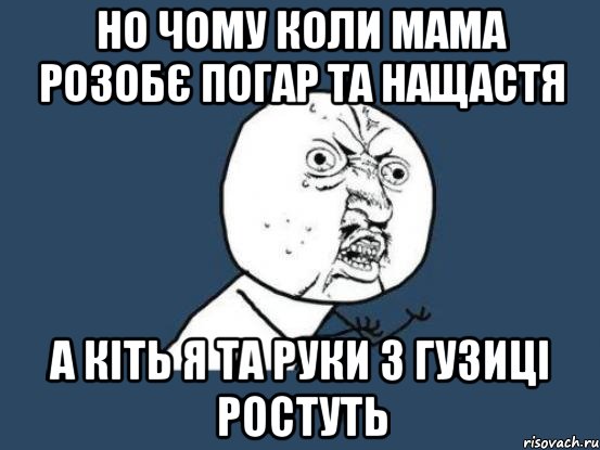 Но чому коли мама розобє погар та нащастя а кіть я та руки з гузиці ростуть, Мем Ну почему