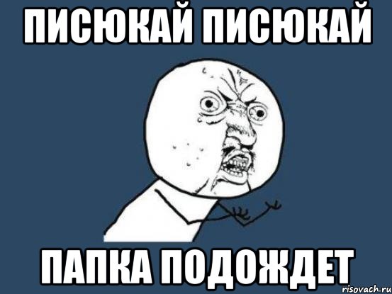 писюкай писюкай папка подождет, Мем Ну почему