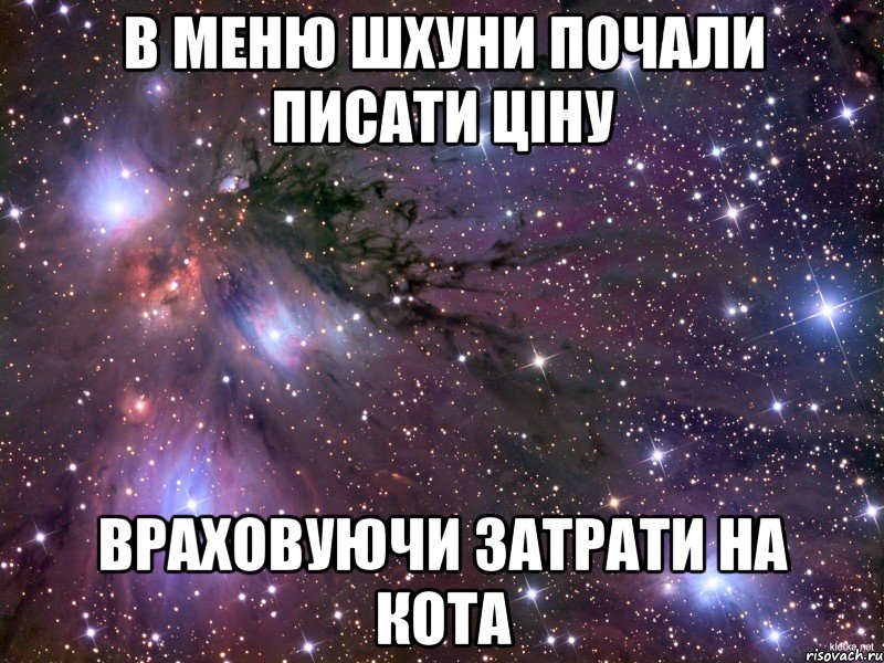 В меню шхуни почали писати ціну враховуючи затрати на кота, Мем Космос