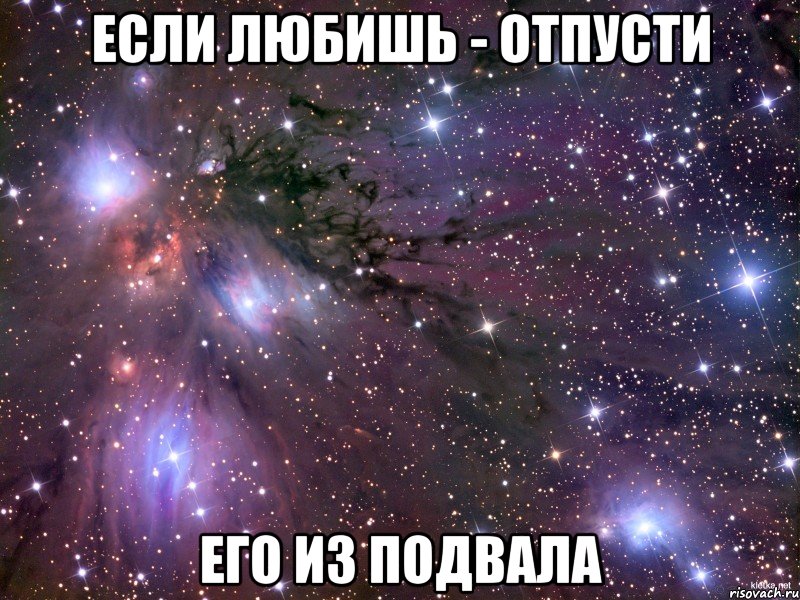 ЕСЛИ ЛЮБИШЬ - ОТПУСТИ его из подвала, Мем Космос