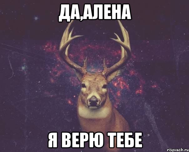 да,алена я верю тебе, Мем  олень наивный