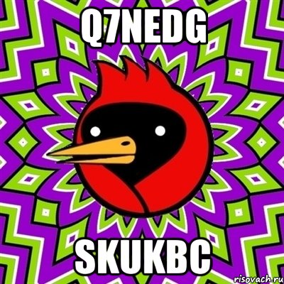 q7nedG SKUkbc, Мем Омская птица