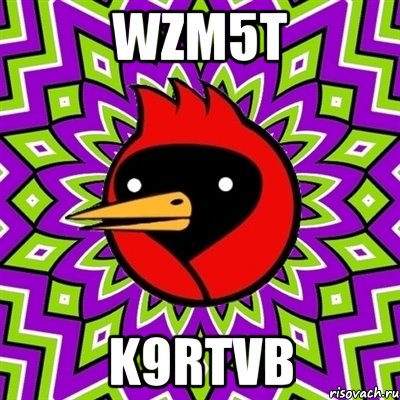 WZM5T K9RTvb, Мем Омская птица