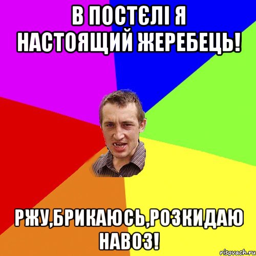 в постєлі я настоящий жеребець! ржу,брикаюсь,розкидаю навоз!, Мем Чоткий паца
