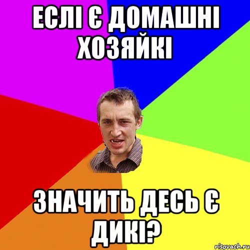 ЕСЛІ Є ДОМАШНІ ХОЗЯЙКІ ЗНАЧИТЬ ДЕСЬ Є ДИКІ?, Мем Чоткий паца