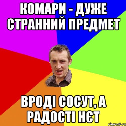 комари - дуже странний предмет вроді сосут, а радості нєт, Мем Чоткий паца