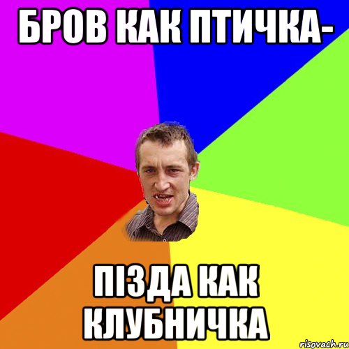 бров как птичка- пізда как клубничка, Мем Чоткий паца