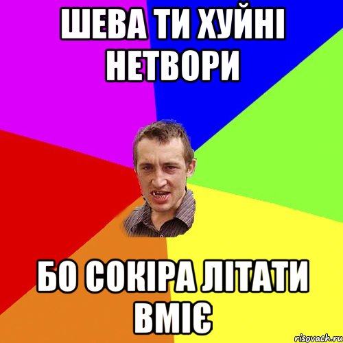 ШЕВА ТИ ХУЙНІ НЕТВОРИ БО СОКІРА ЛІТАТИ ВМІЄ, Мем Чоткий паца