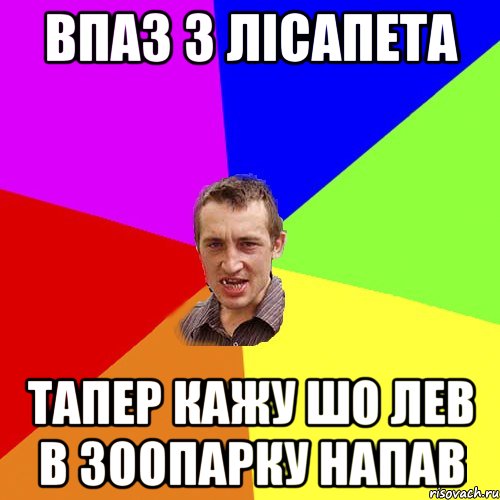 Впаз з лісапета тапер кажу шо лев в зоопарку напав, Мем Чоткий паца