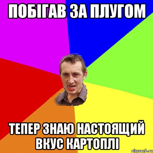 побігав за плугом тепер знаю настоящий вкус картоплі, Мем Чоткий паца