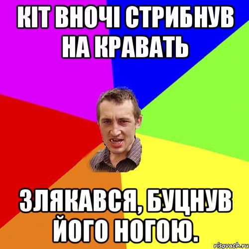 Кіт вночі стрибнув на кравать Злякався, буцнув його ногою., Мем Чоткий паца