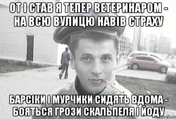 от і став я тепер ветеринаром - на всю вулицю навів страху барсіки і мурчики сидять вдома - бояться грози скальпеля і йоду