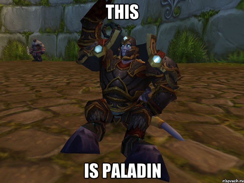 This is paladin, Мем паладин