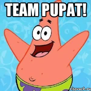 team pupat! , Мем Патрик