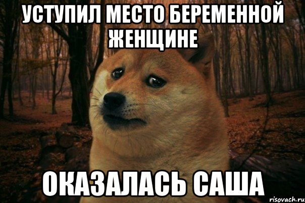 УСТУПИЛ МЕСТО БЕРЕМЕННОЙ ЖЕНЩИНЕ ОКАЗАЛАСЬ САША, Мем SAD DOGE