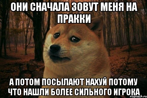 они сначала зовут меня на пракки а потом посылают нахуй потому что нашли более сильного игрока, Мем SAD DOGE