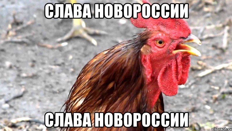 СЛАВА НОВОРОССИИ СЛАВА НОВОРОССИИ