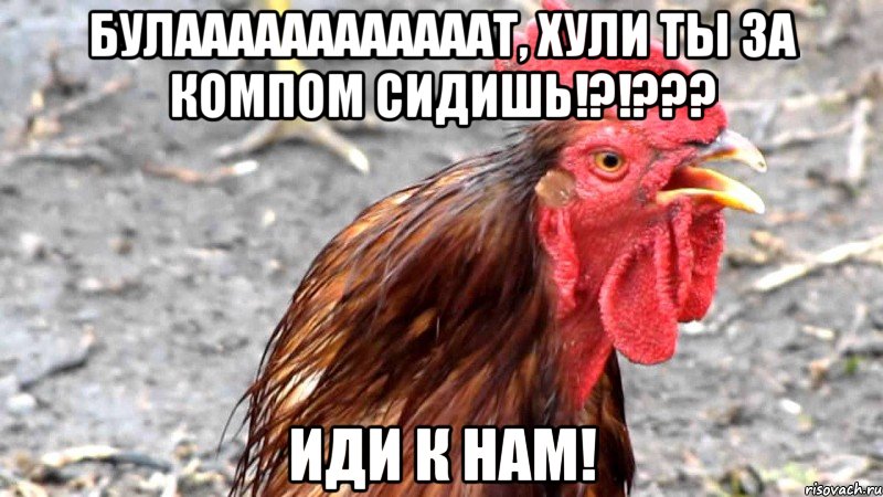 Булаааааааааааат, хули ты за компом сидишь!?!??? Иди к нам!