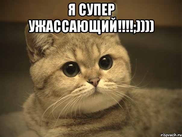 Я супер ужассающий!!!!;)))) , Мем Пидрила ебаная котик